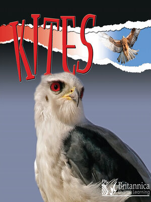 cover image of Kites